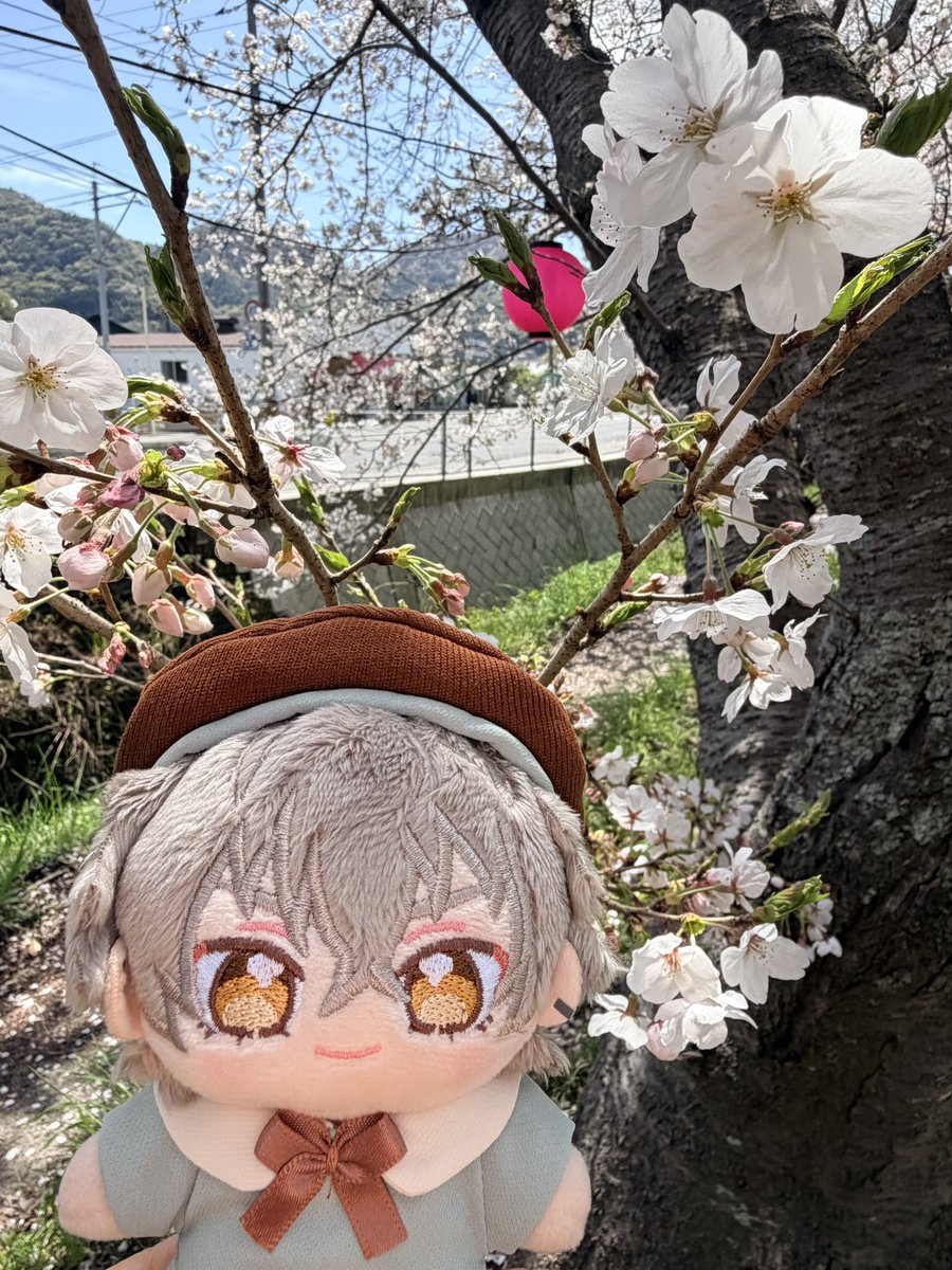 りゅうちゃん tweet media