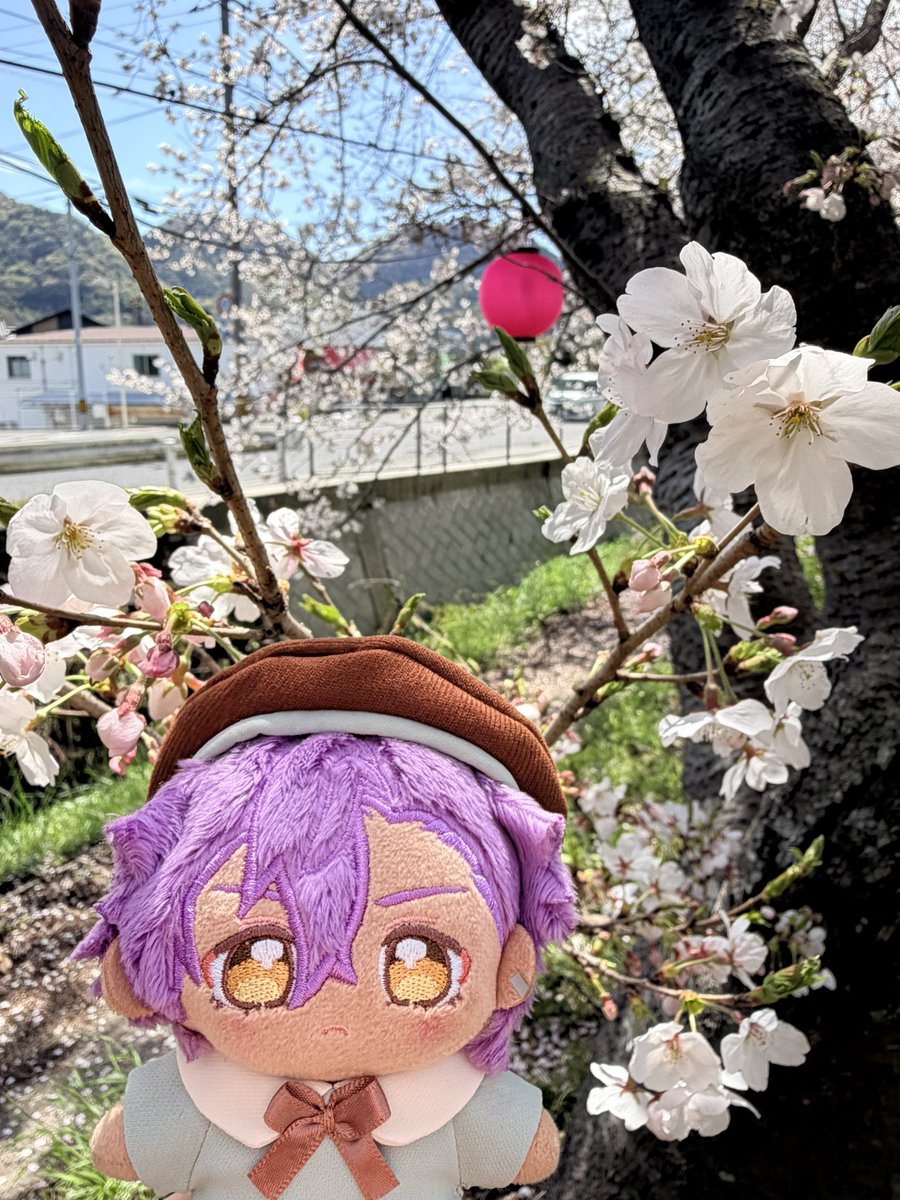 りゅうちゃん tweet media