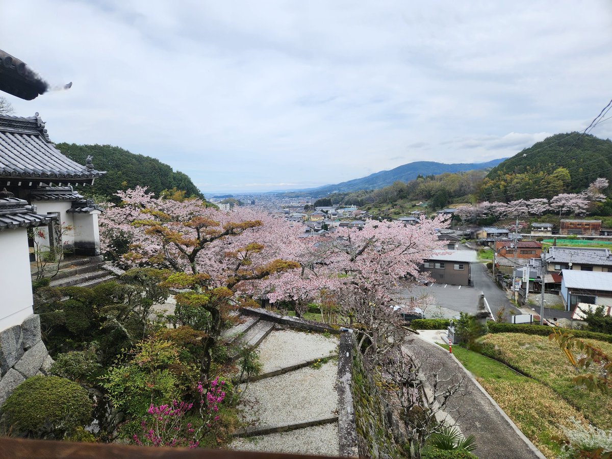 聖林寺公式アカウント tweet media