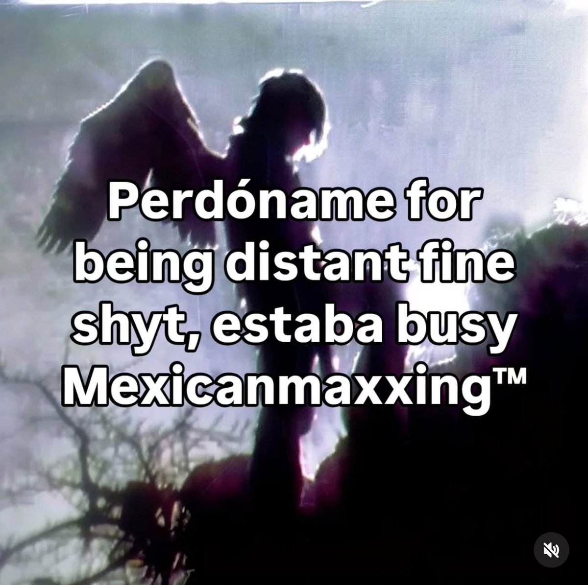 alexander ⭒ tweet media