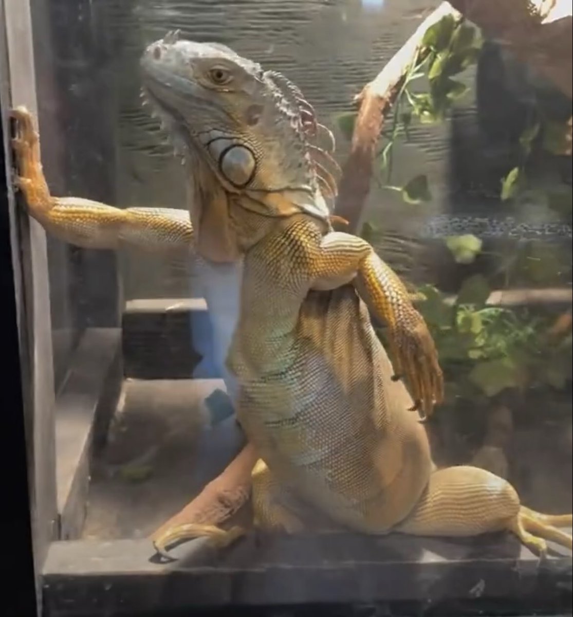 อาจู ◡̈ tweet media