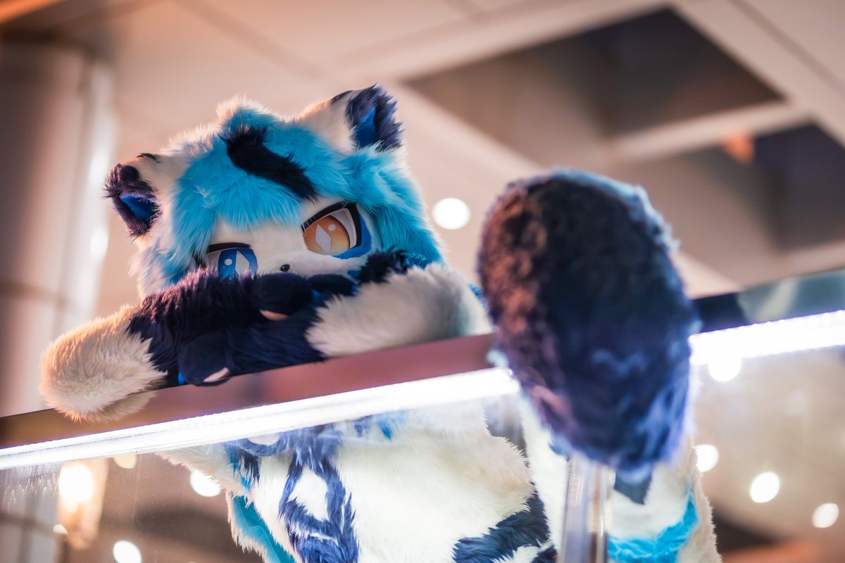 HOYO (호요) tweet media