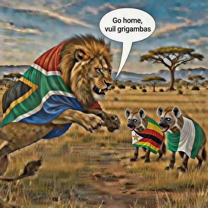 Born-in-SA🇿🇦 tweet media