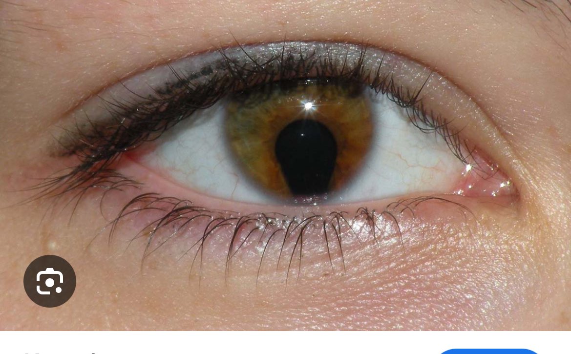 Jessica Lange’s granddaughter tweet media