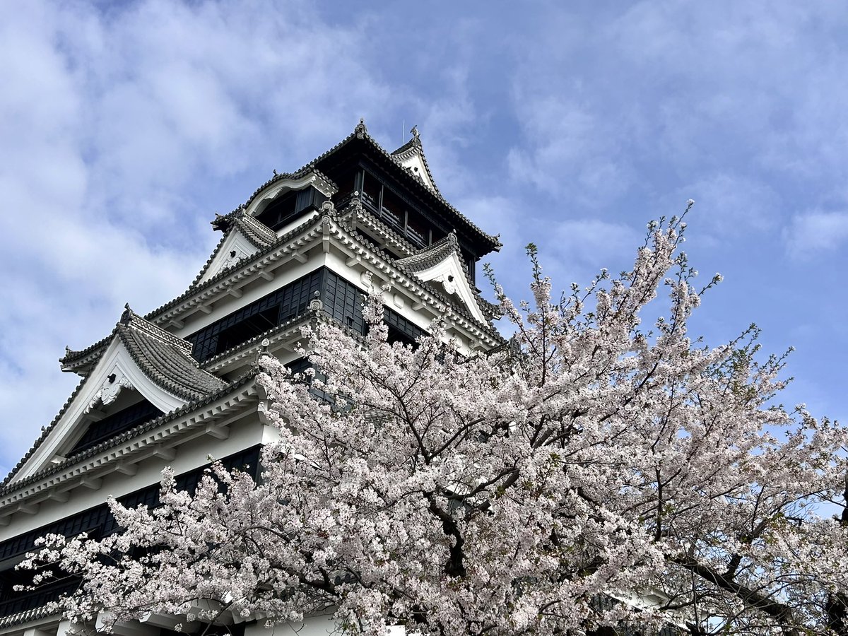 熊本市長 大西一史 tweet media