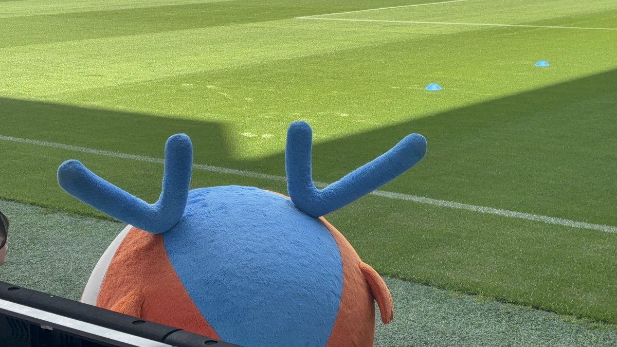 マックス tweet media