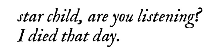 Viral Vibe tweet media