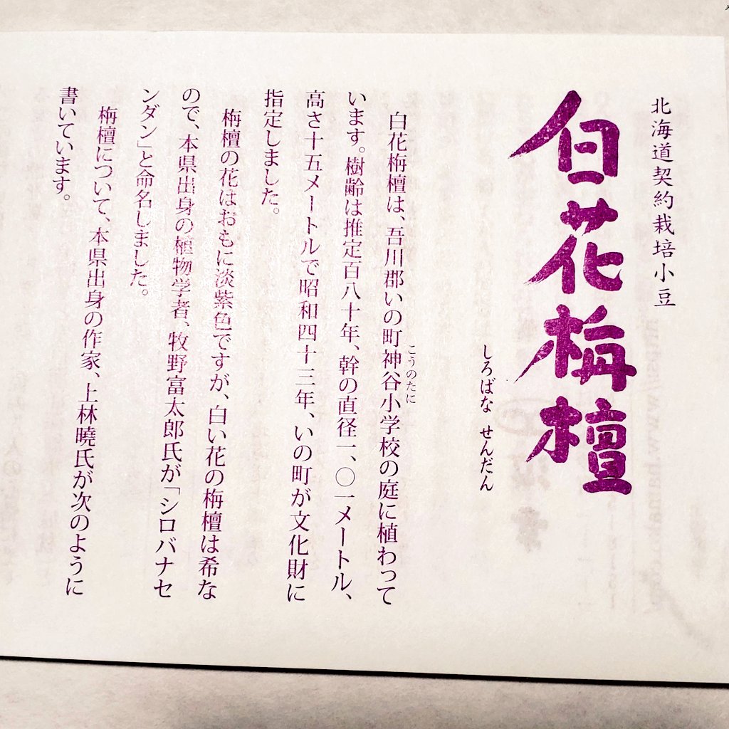 茜涼夏a.k.a泡沫たんぽぽ tweet media