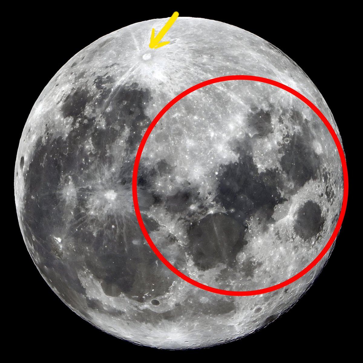 🔥Kayrus🔥 tweet media