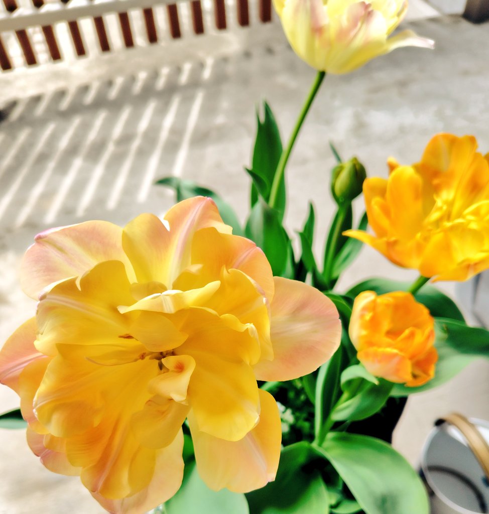 ちゅんち tweet media