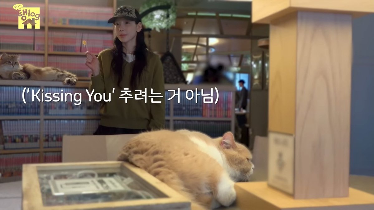 홀리🦋 tweet media