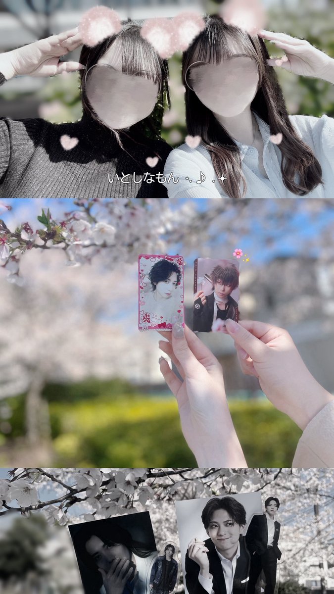 🦢🌙 tweet media