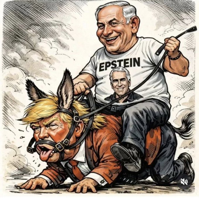 JUNK MAIL tweet media