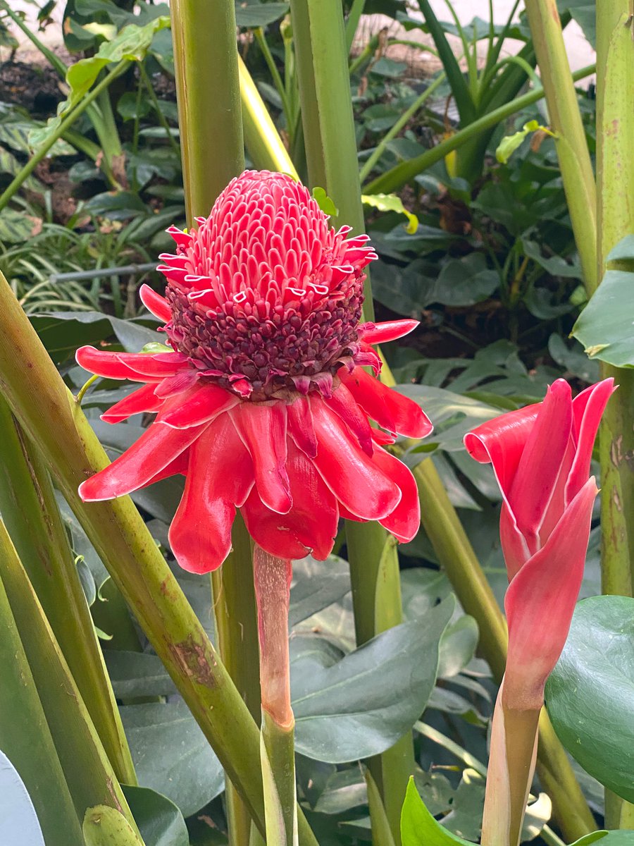 슬로우리치 tweet media