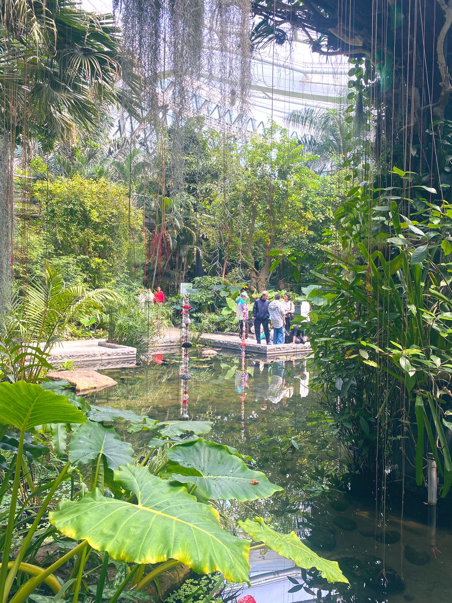 슬로우리치 tweet media