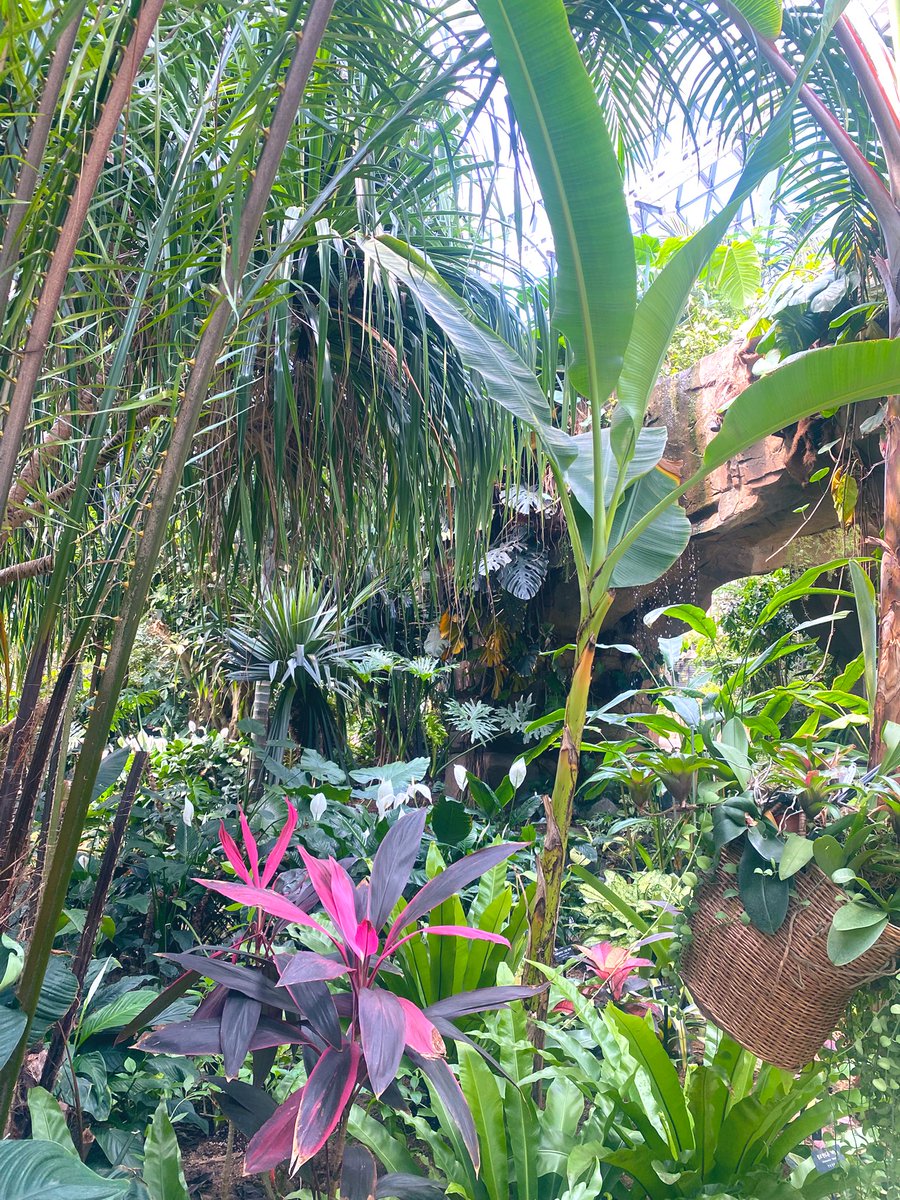 슬로우리치 tweet media