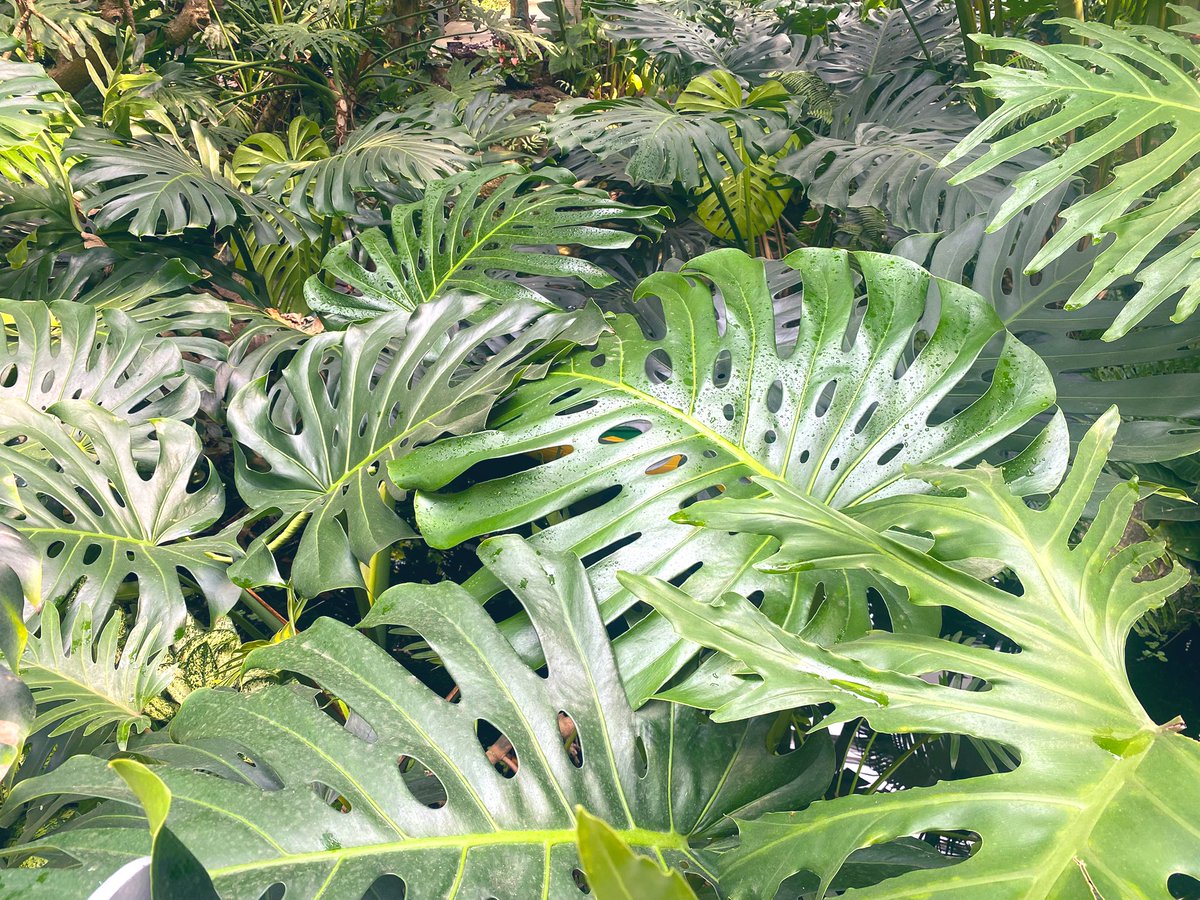 슬로우리치 tweet media