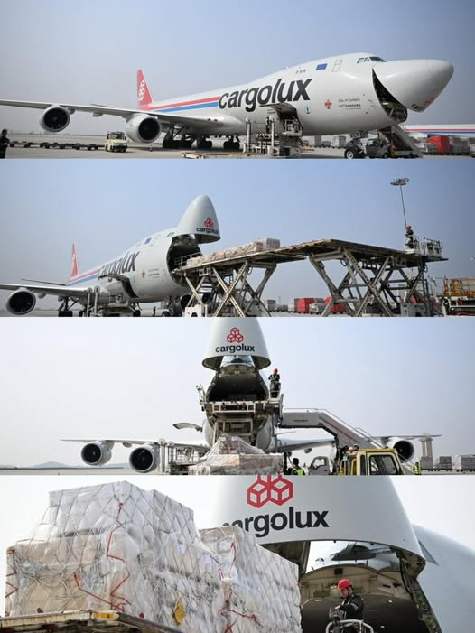 ShanghaiEye🚀official tweet media