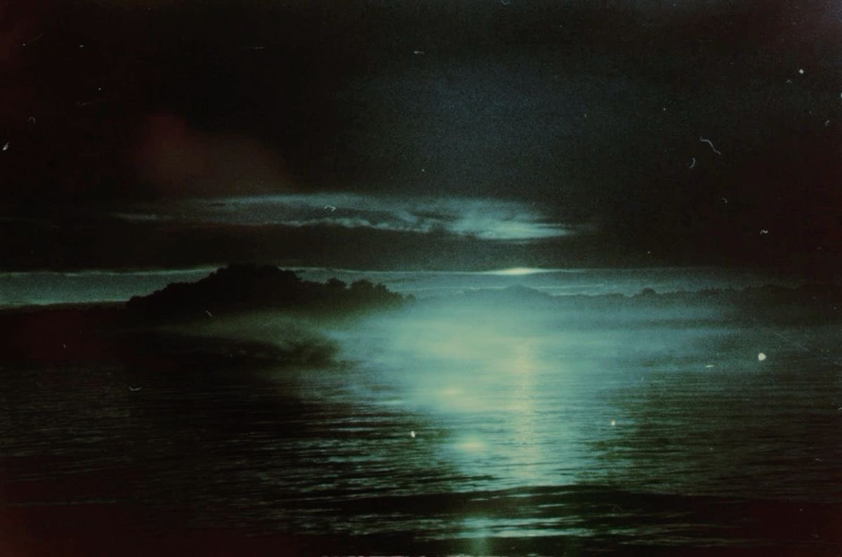 Leander ⚓️ tweet media