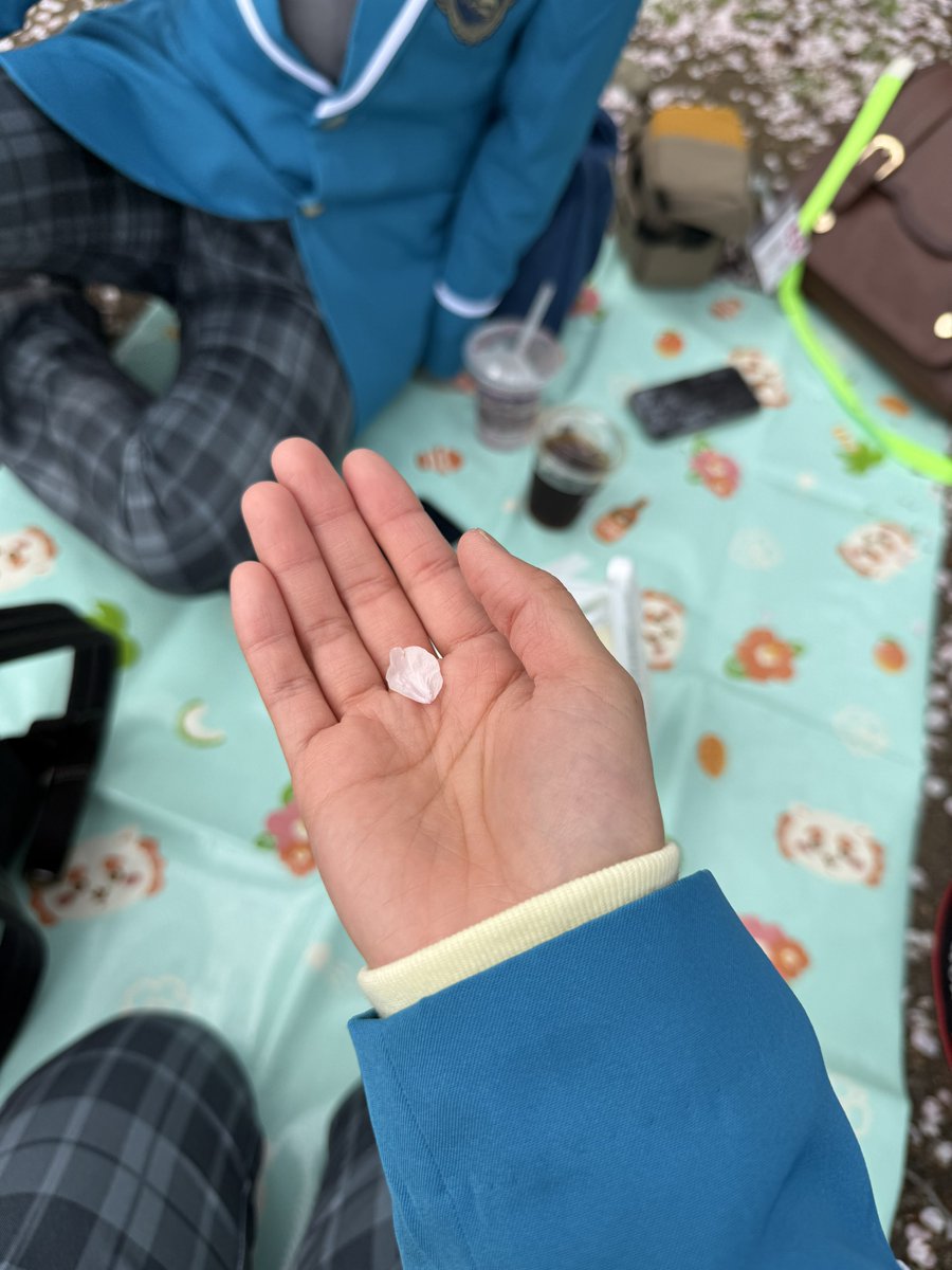 maro12TDC tweet media