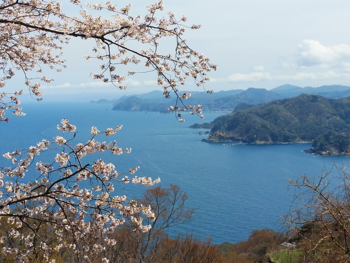 よゐくま@🇹🇼仮設しろくま🇺🇦(酔) tweet media