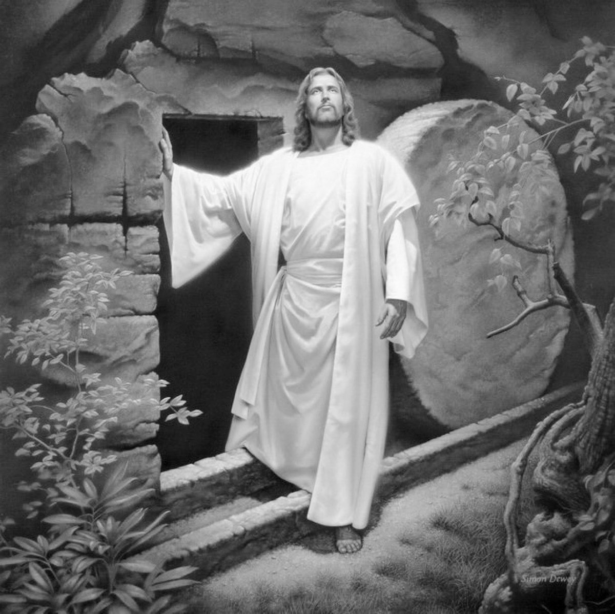 Godly Nation tweet media