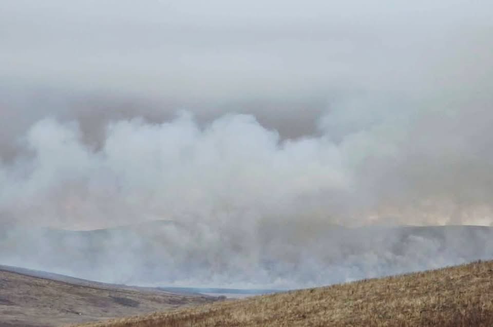 М.Баттулга tweet media