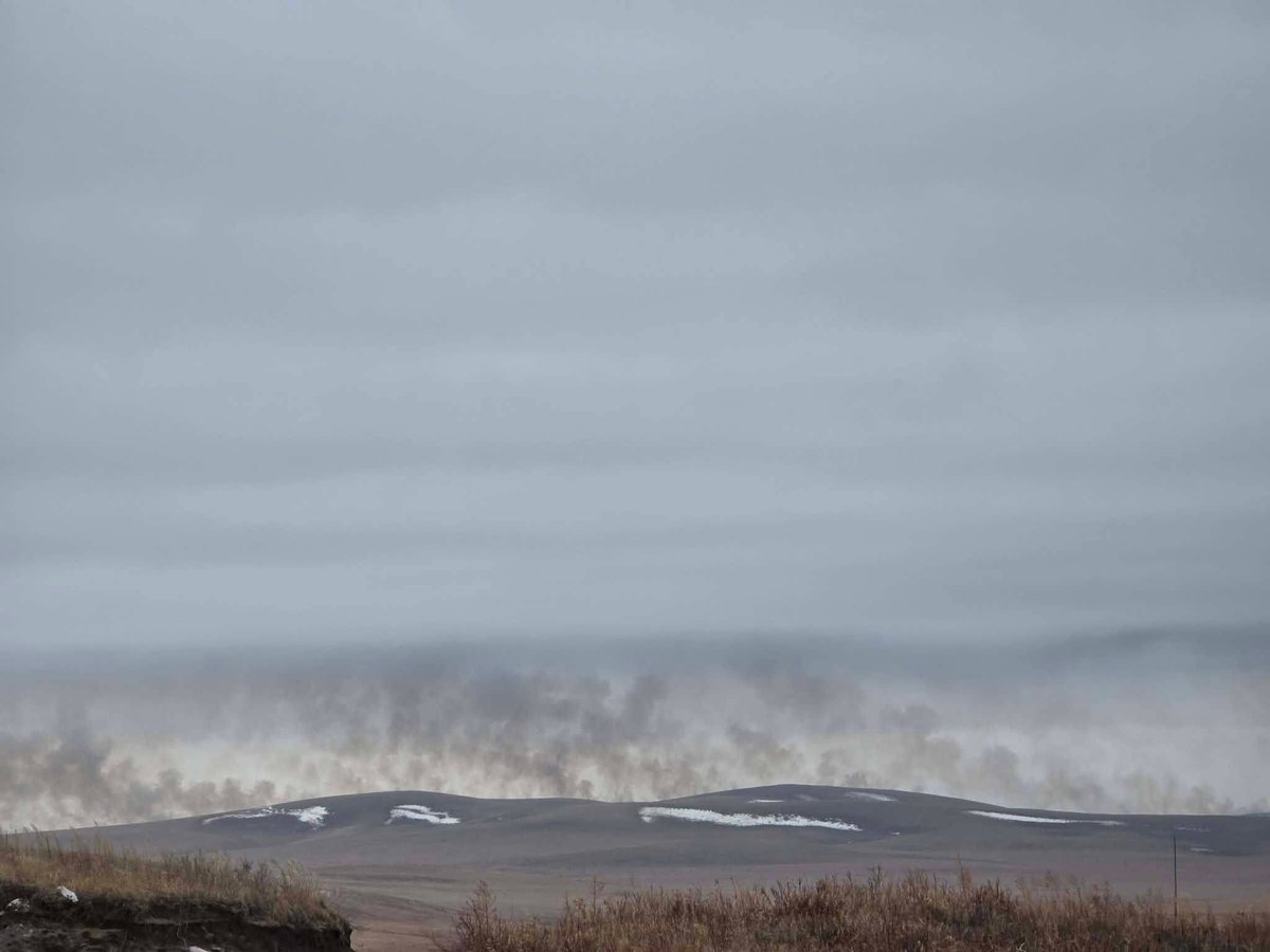 М.Баттулга tweet media