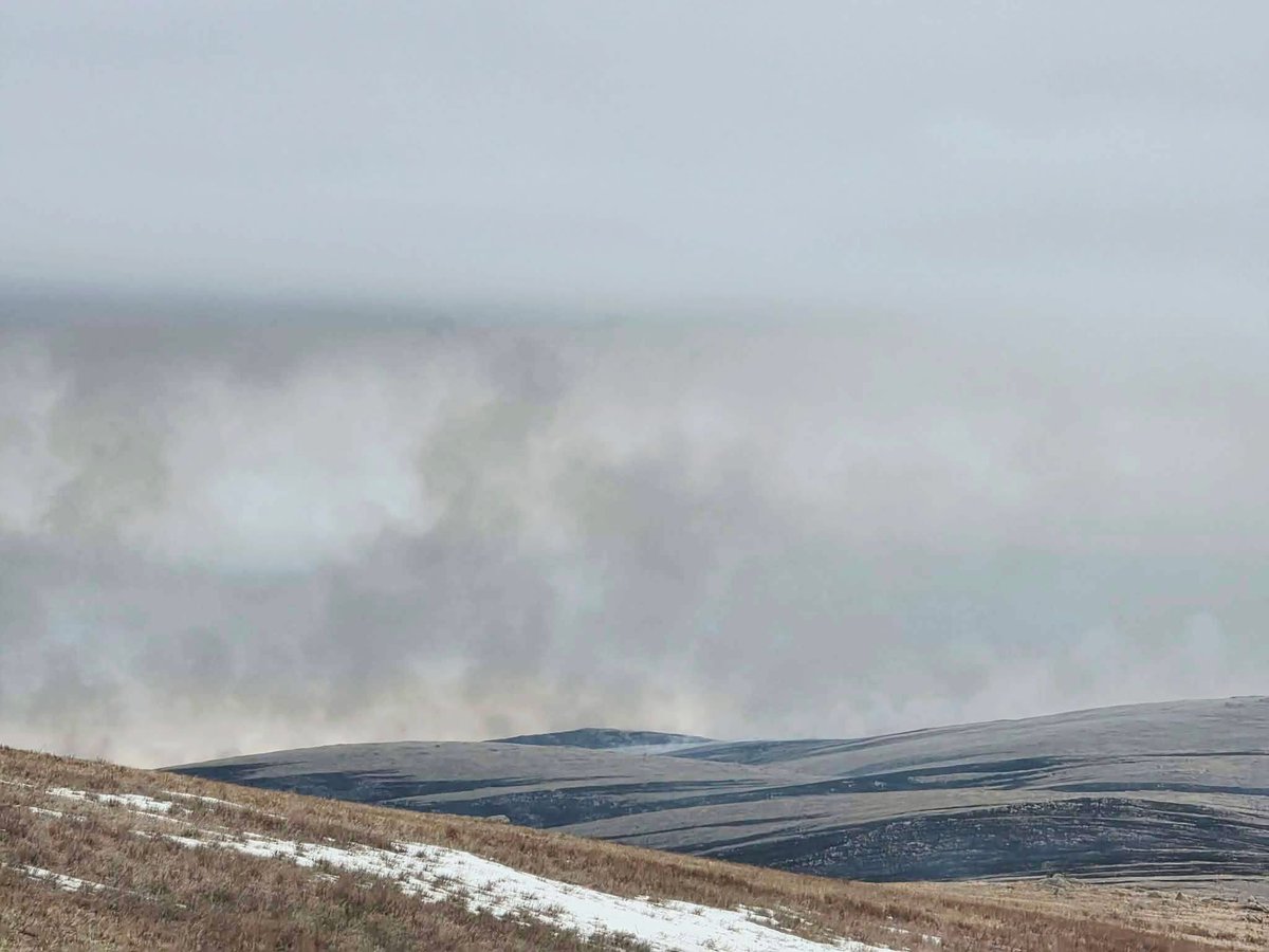 М.Баттулга tweet media