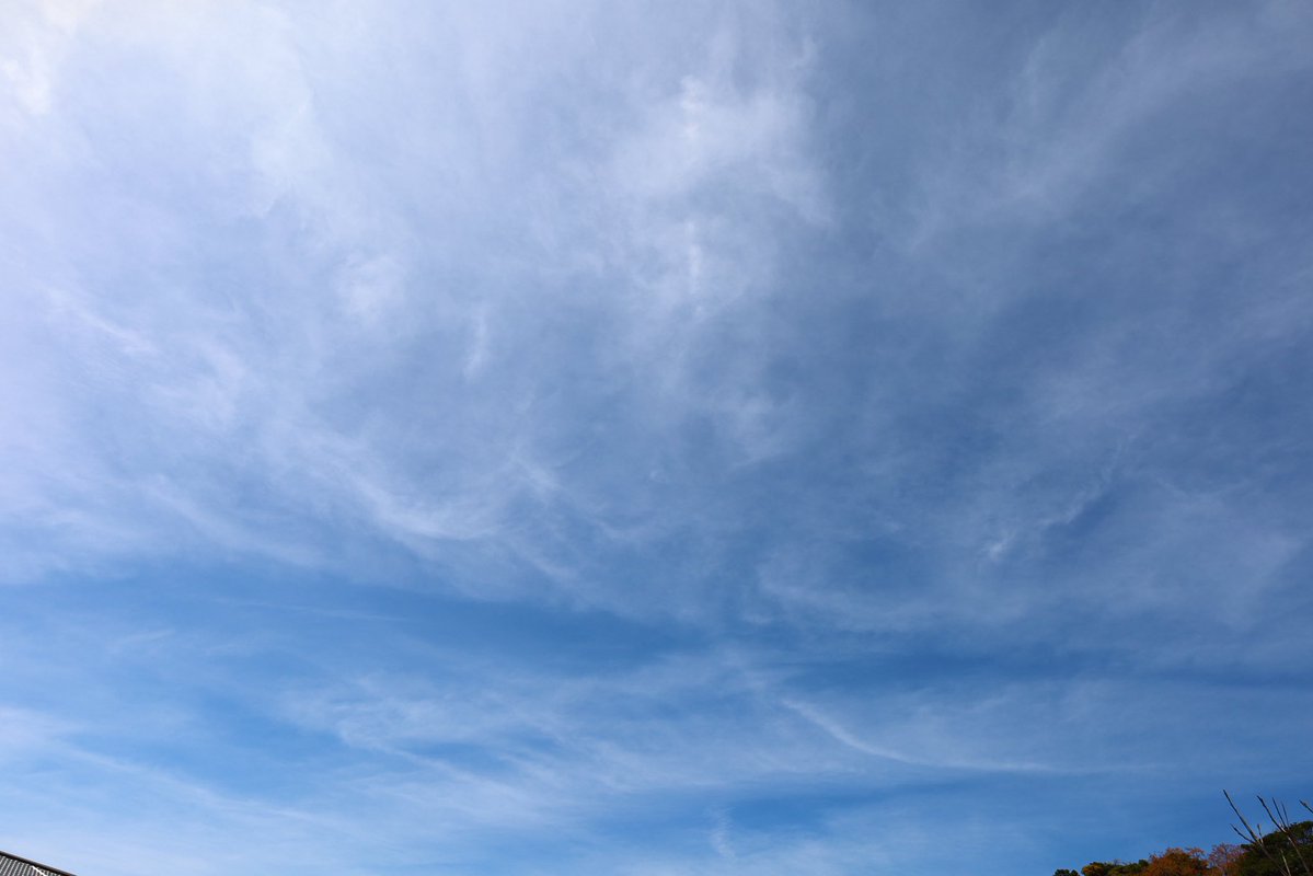 みなみ🐬✨💐 tweet media