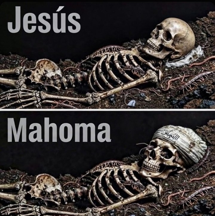 やっぱりち🌎🇲🇽🇺🇦🇵🇸🇸🇩🇮🇷 tweet media