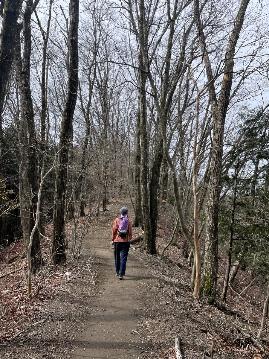 くるん tweet media