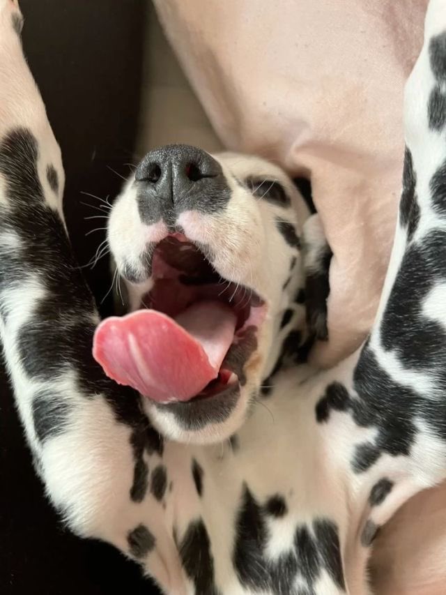 squish .✦ ݁˖ tweet media