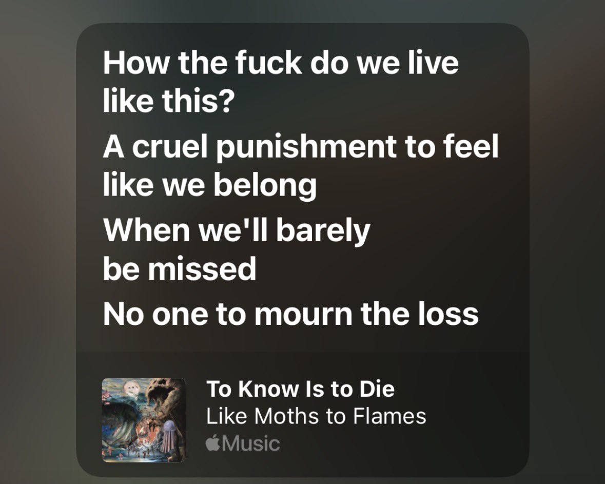 sean🐆 tweet media