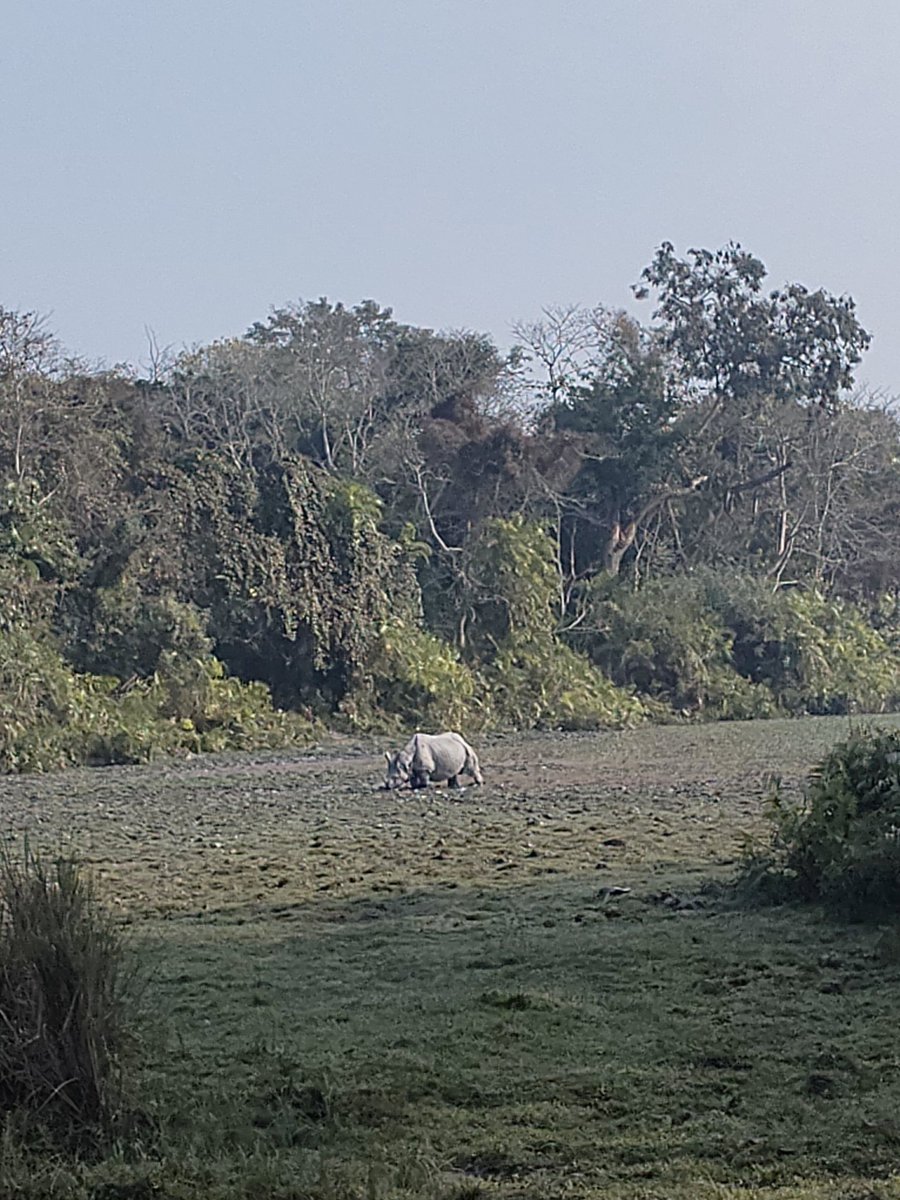 Elem_laulau tweet media