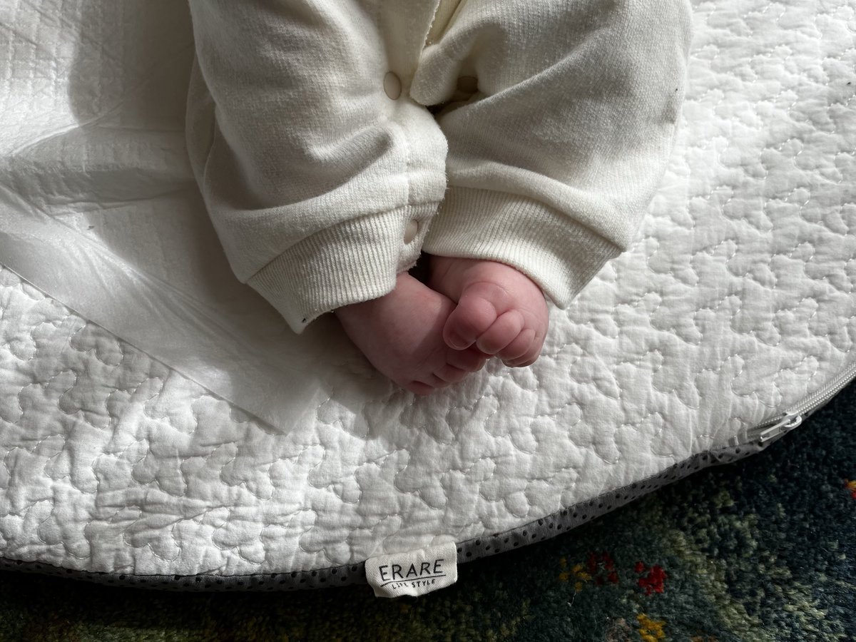 みお☺︎4m🦕 tweet media