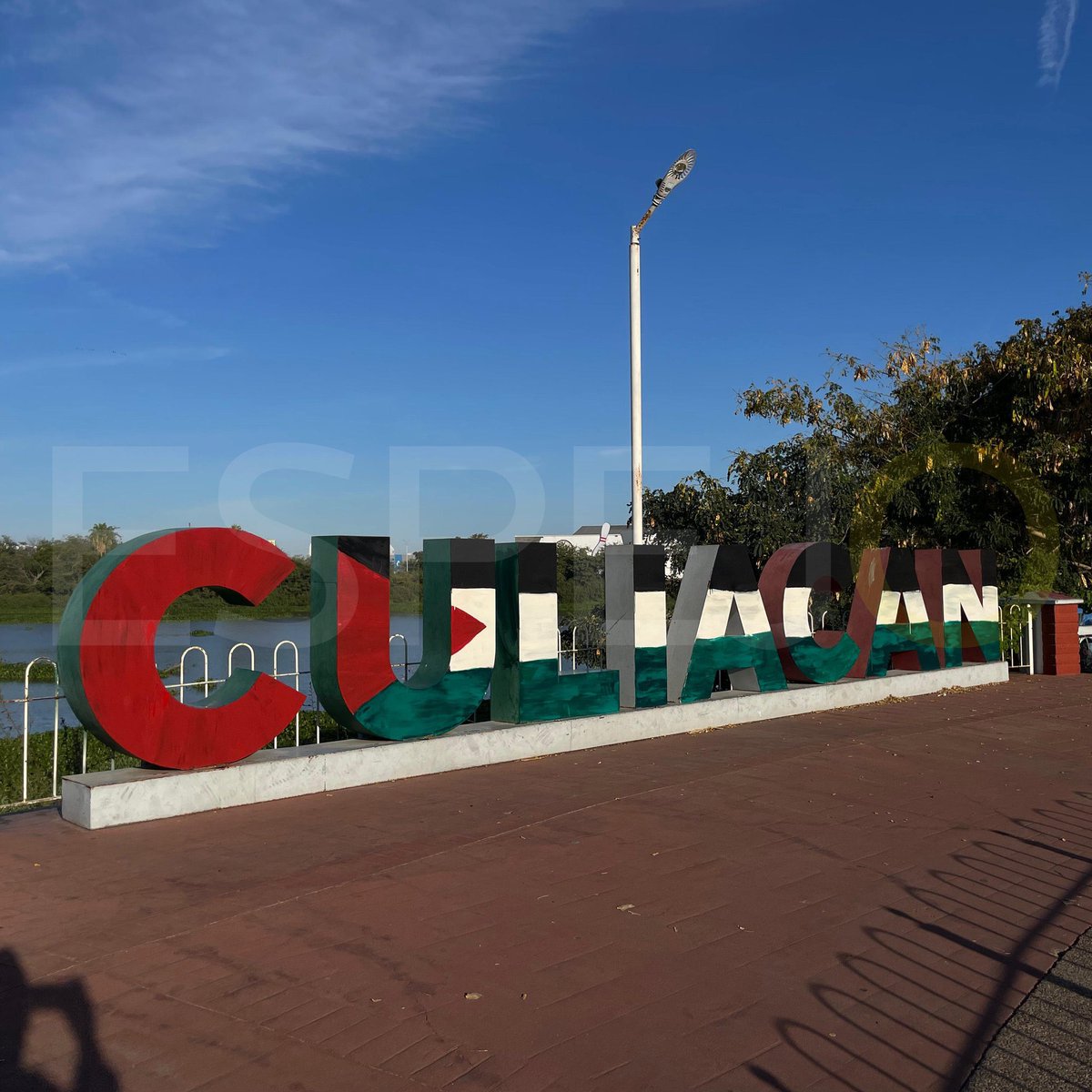 Felipe Manzanarez tweet media