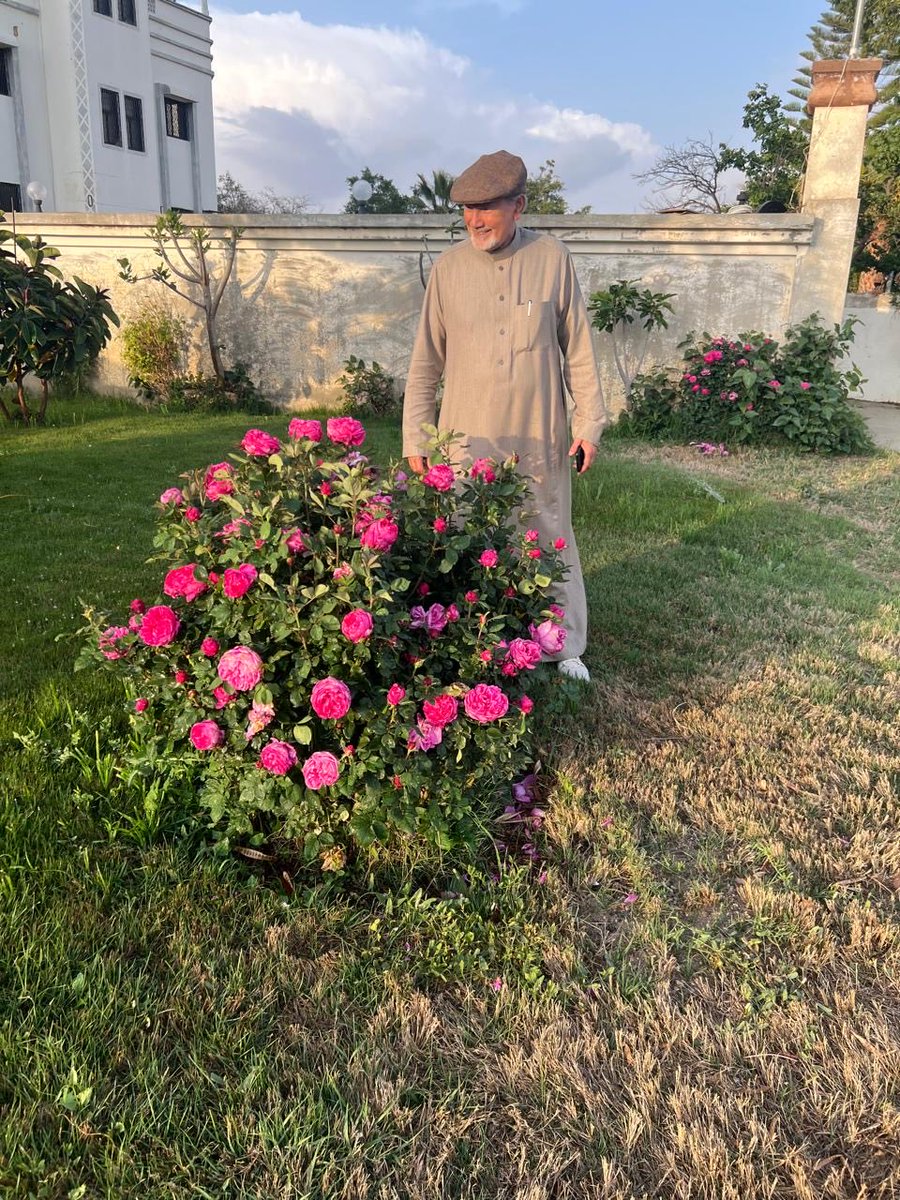 د.آل زلفة tweet media