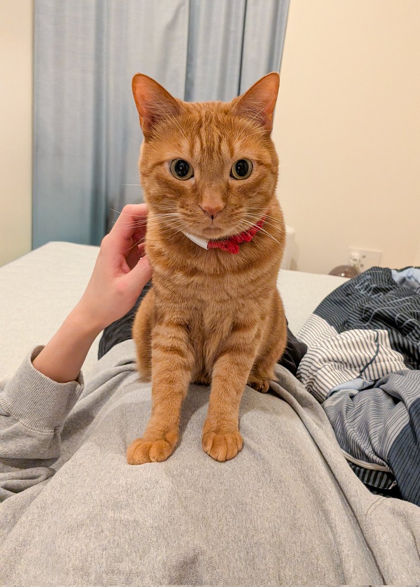 松丸 亮吾 🍥 tweet media