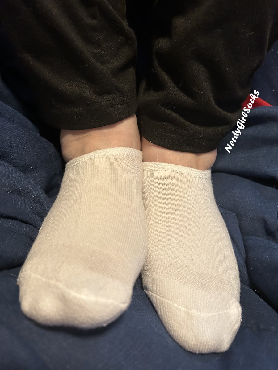 NerdyGirlSocks's tweet photo. Took a couple of fan requests for socks and these were the results. Hope you like them 😘

What socks would you like to see more of? Let me know 🥰

#socks #cutesocks #anklesocks #whitesocks #pumasocks #converse #fypシ゚viral #explore https://t.co/hG8VFZS4XO