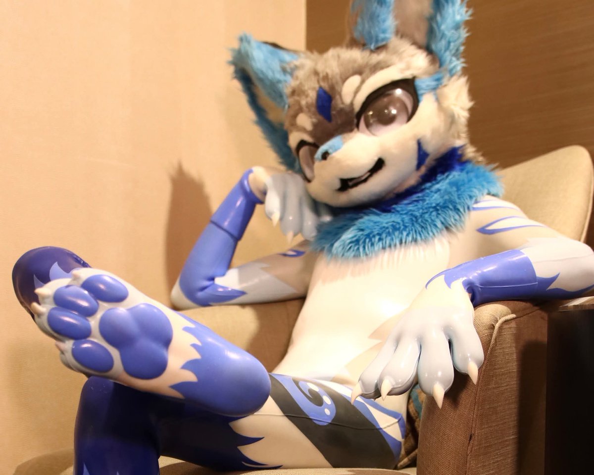 canduce-鴉片督軍（伊空） tweet media