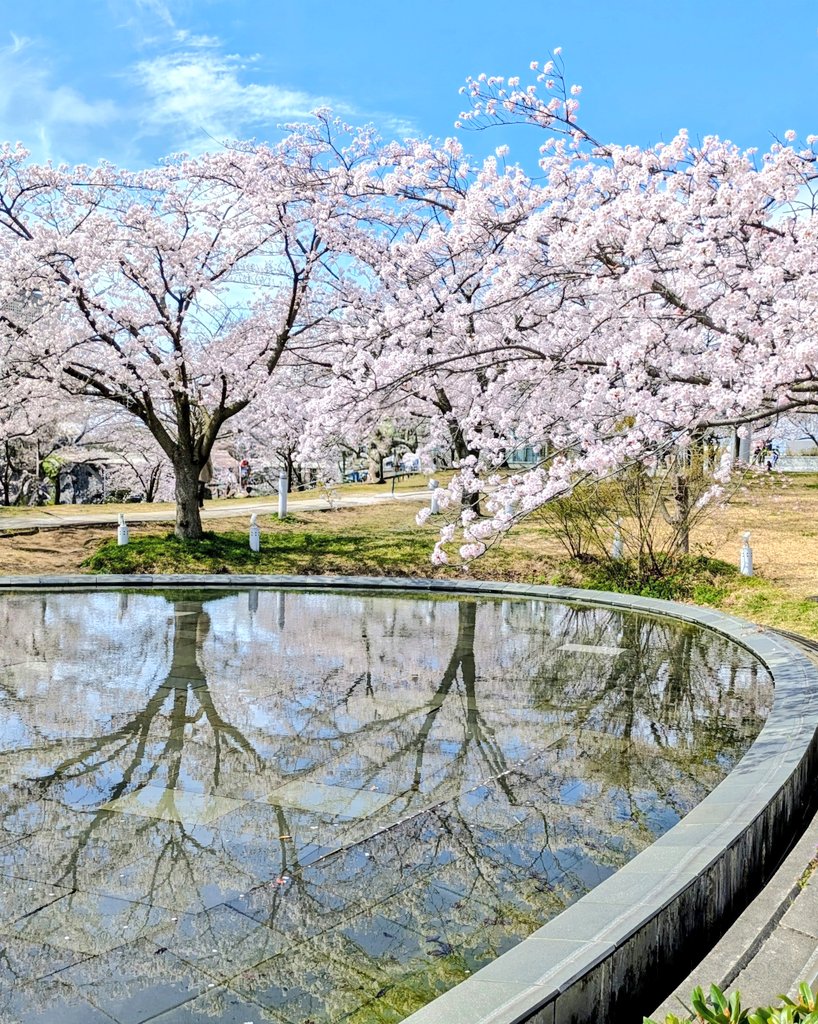 友助(ともすけ) tweet media