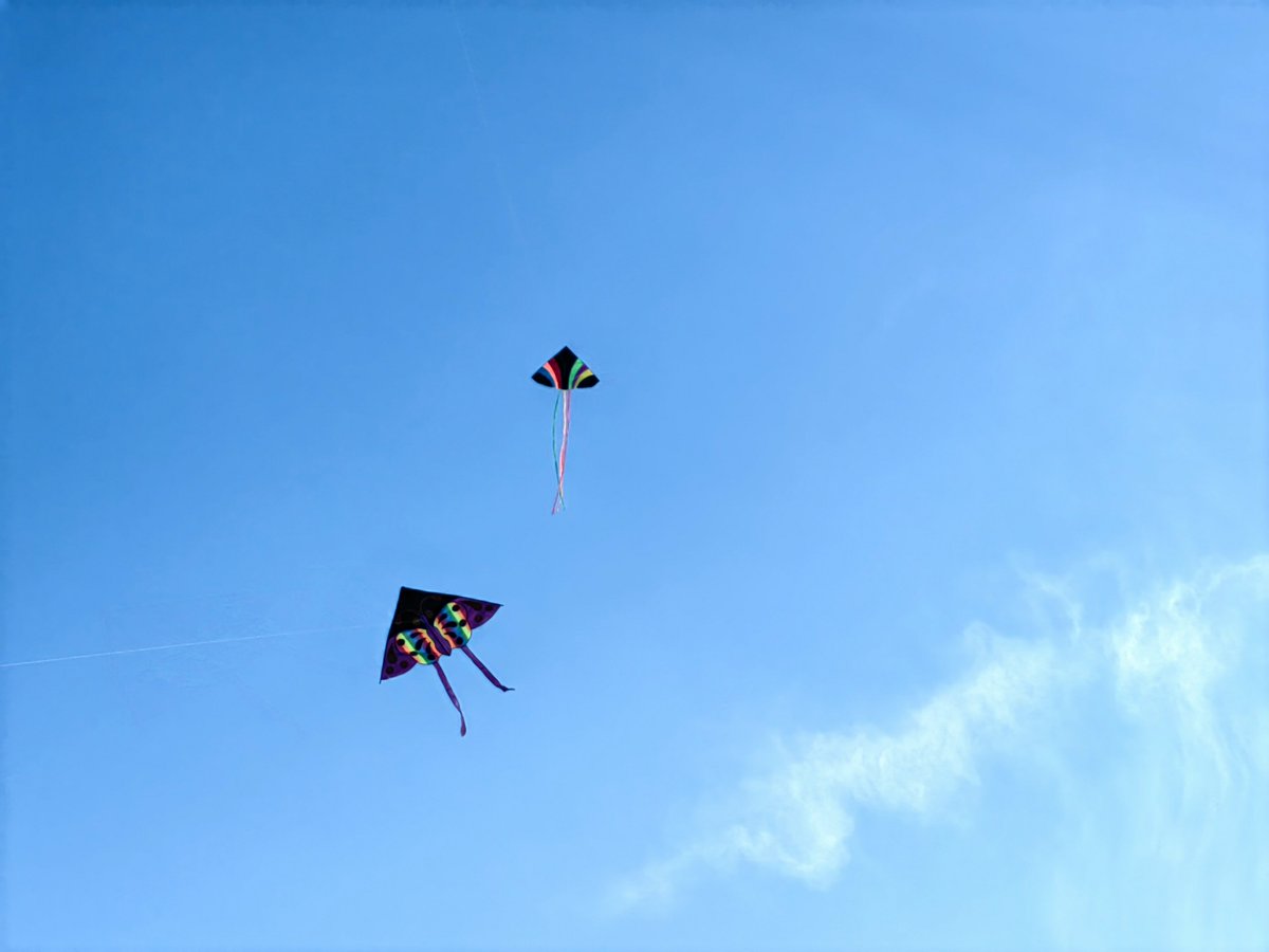 新疆小古丽_xinjiang（互关F0100%） tweet media