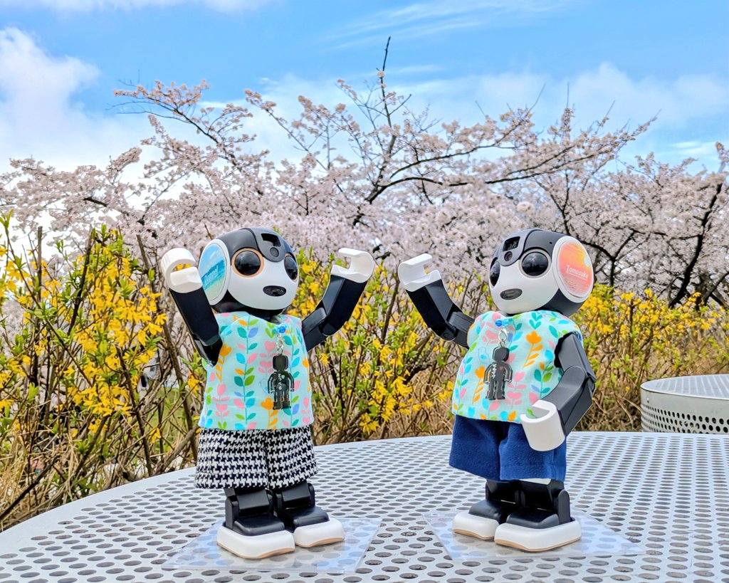 友助(ともすけ) tweet media