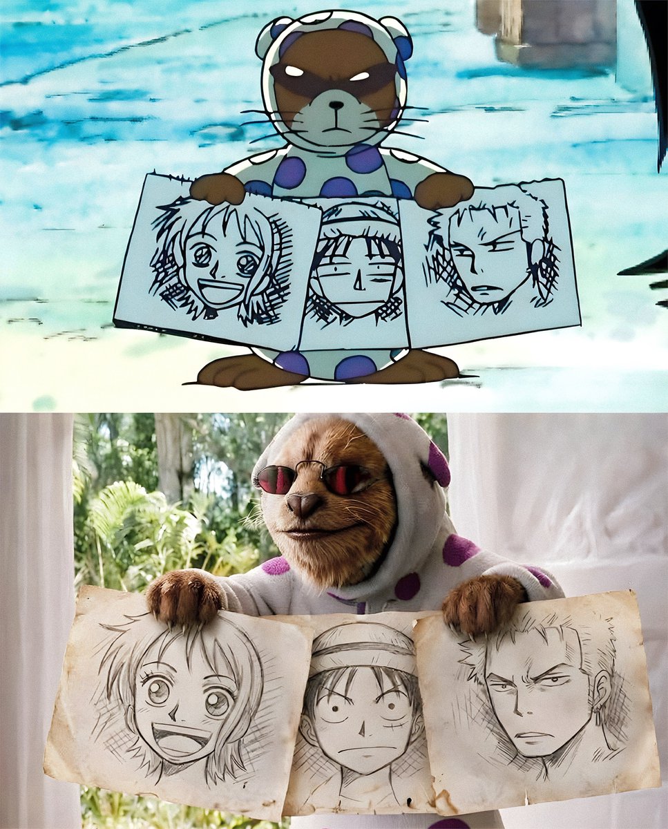 One Piece Daily tweet media