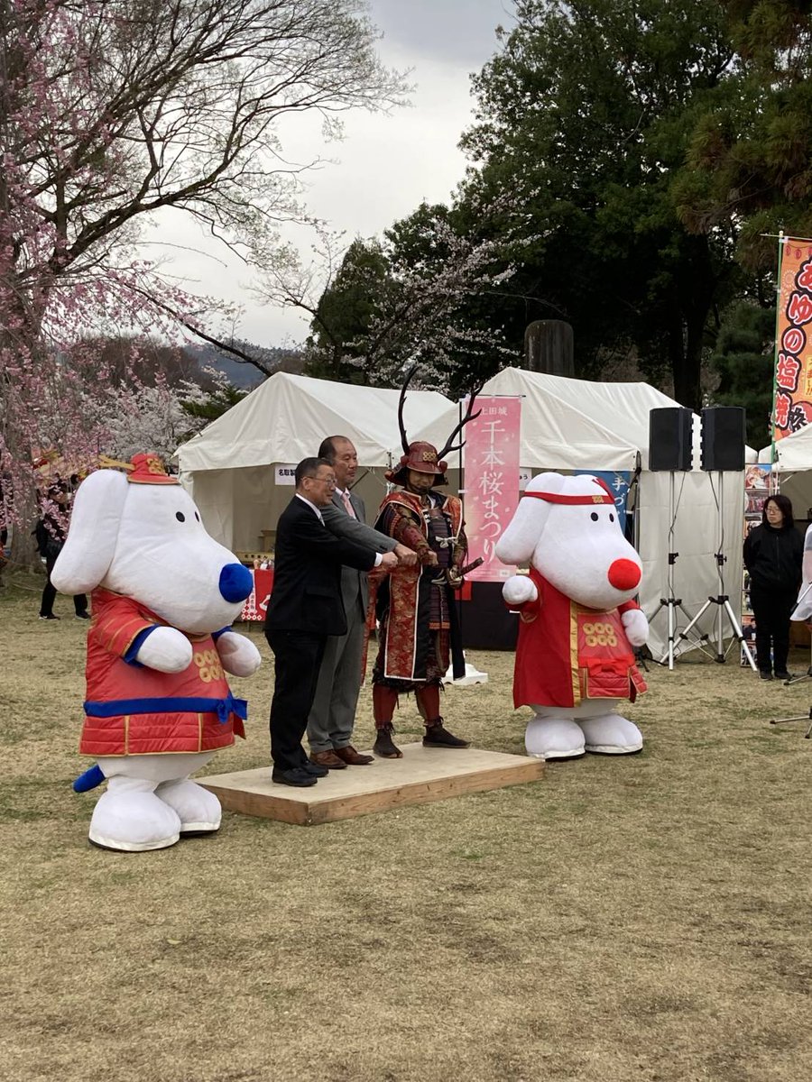 土屋陽一 tweet media
