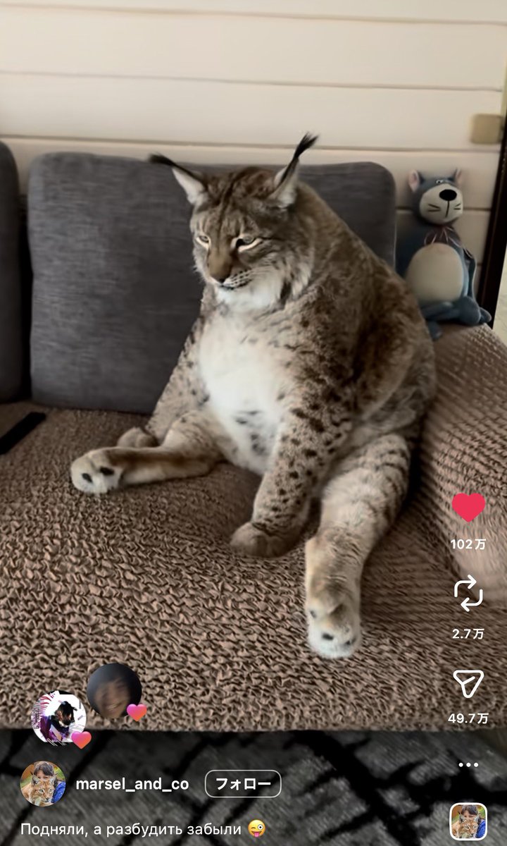 たけし tweet media