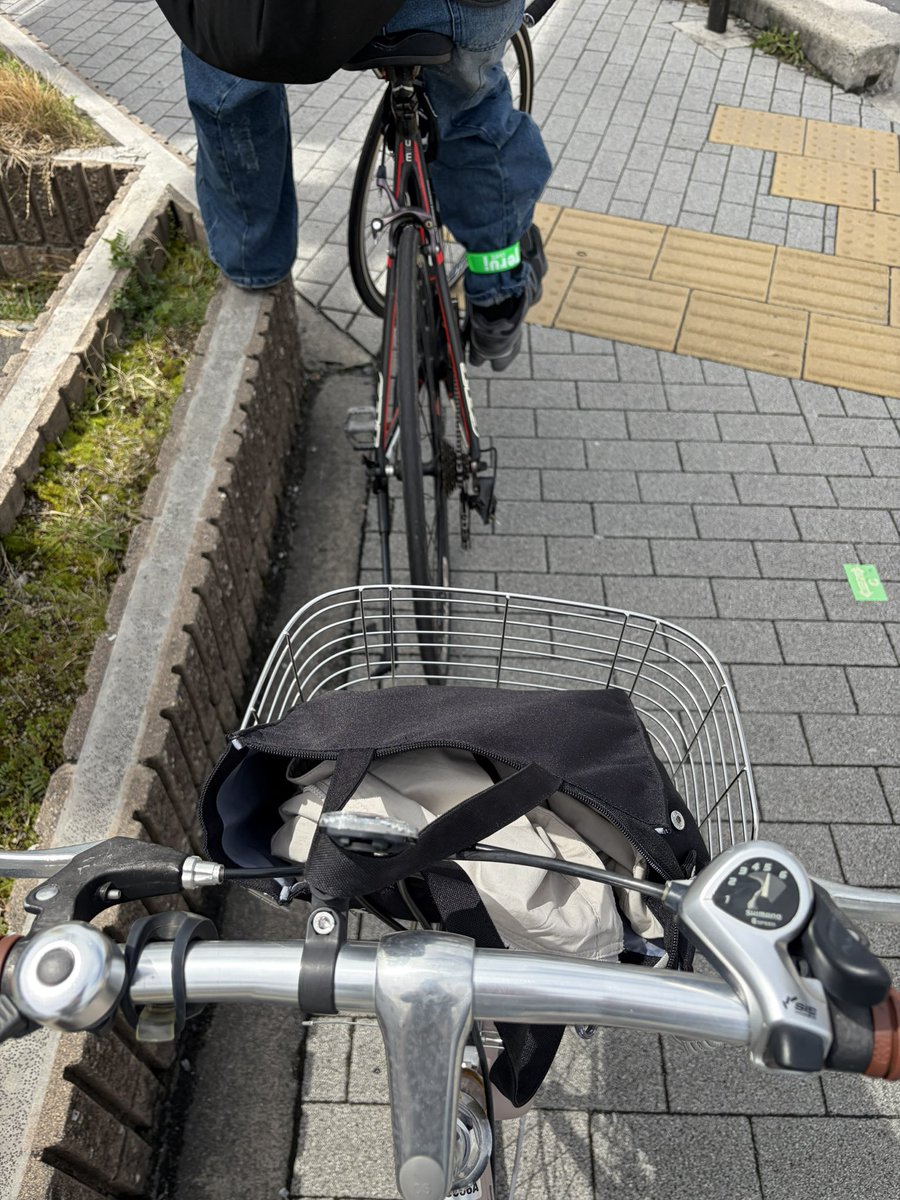 Aya M. O tweet media