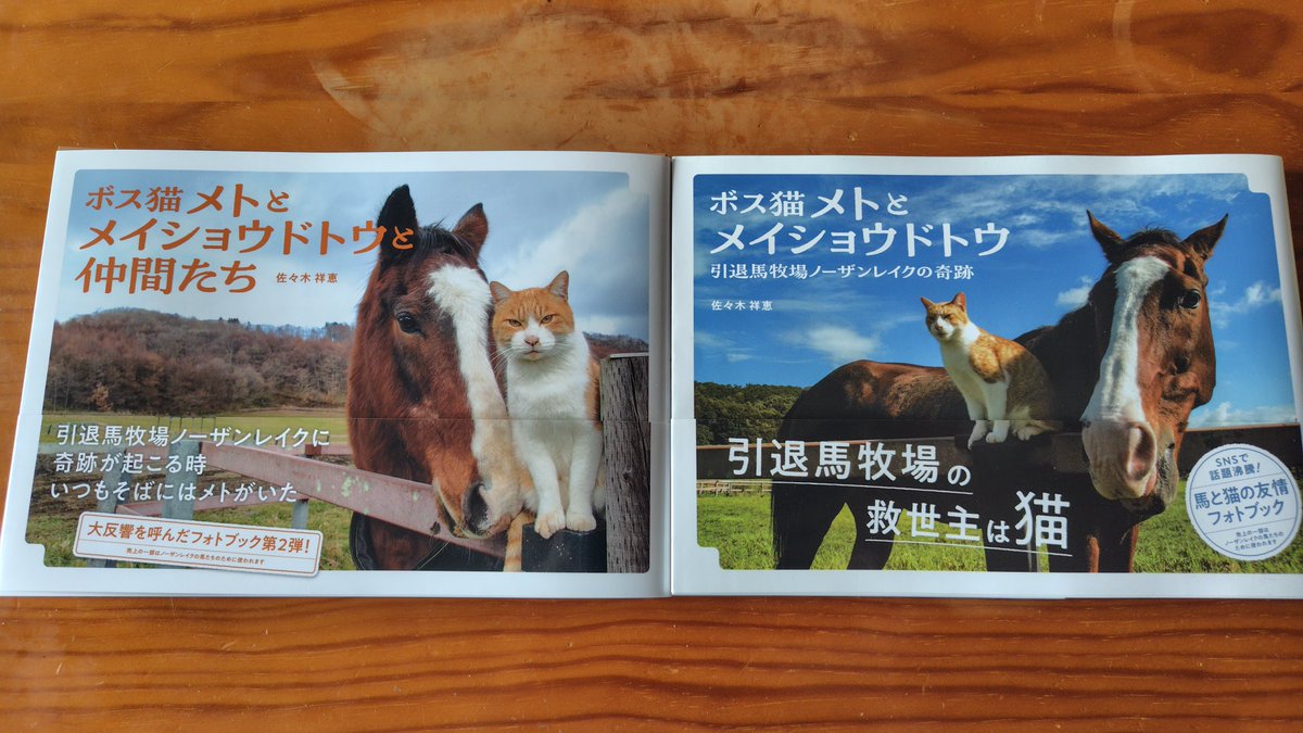 プロッター tweet media