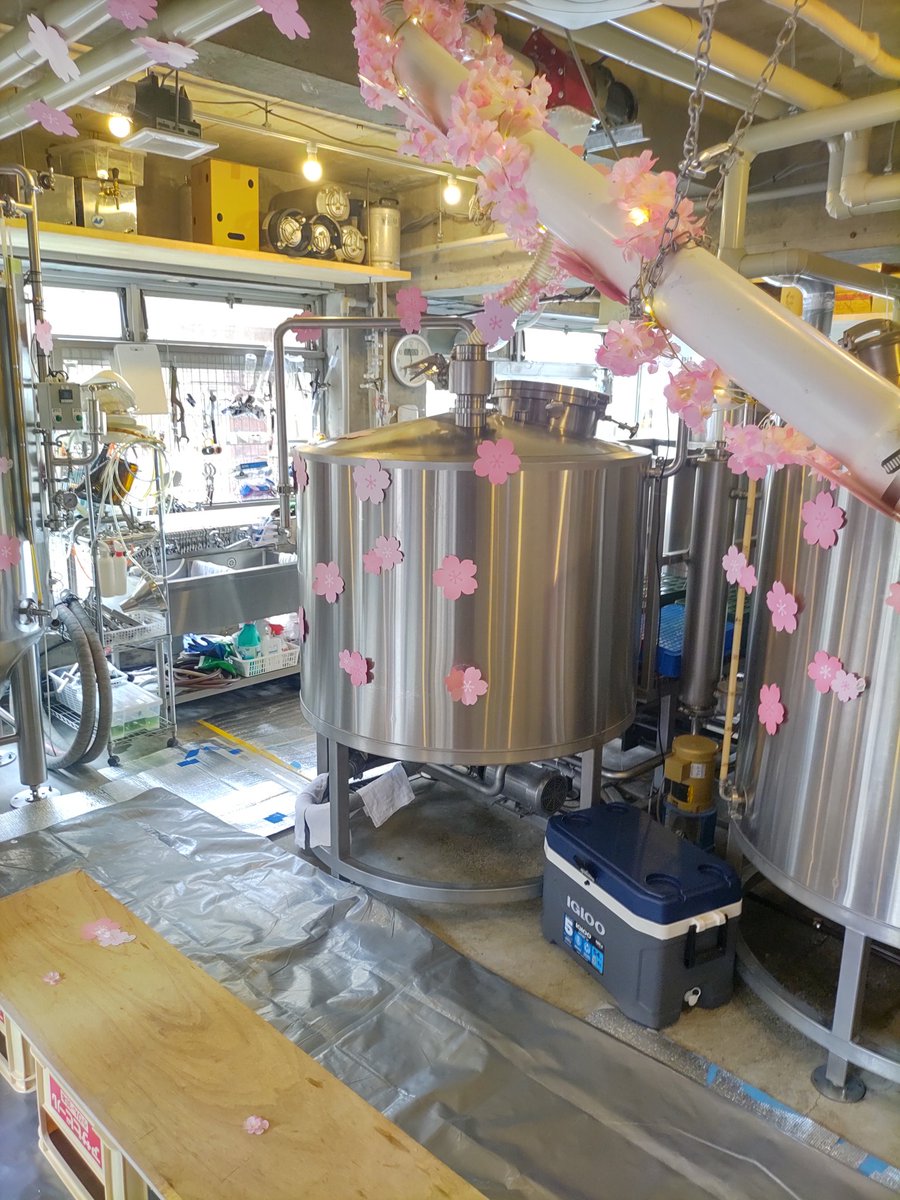 BEER CELLAR TOKYO tweet media